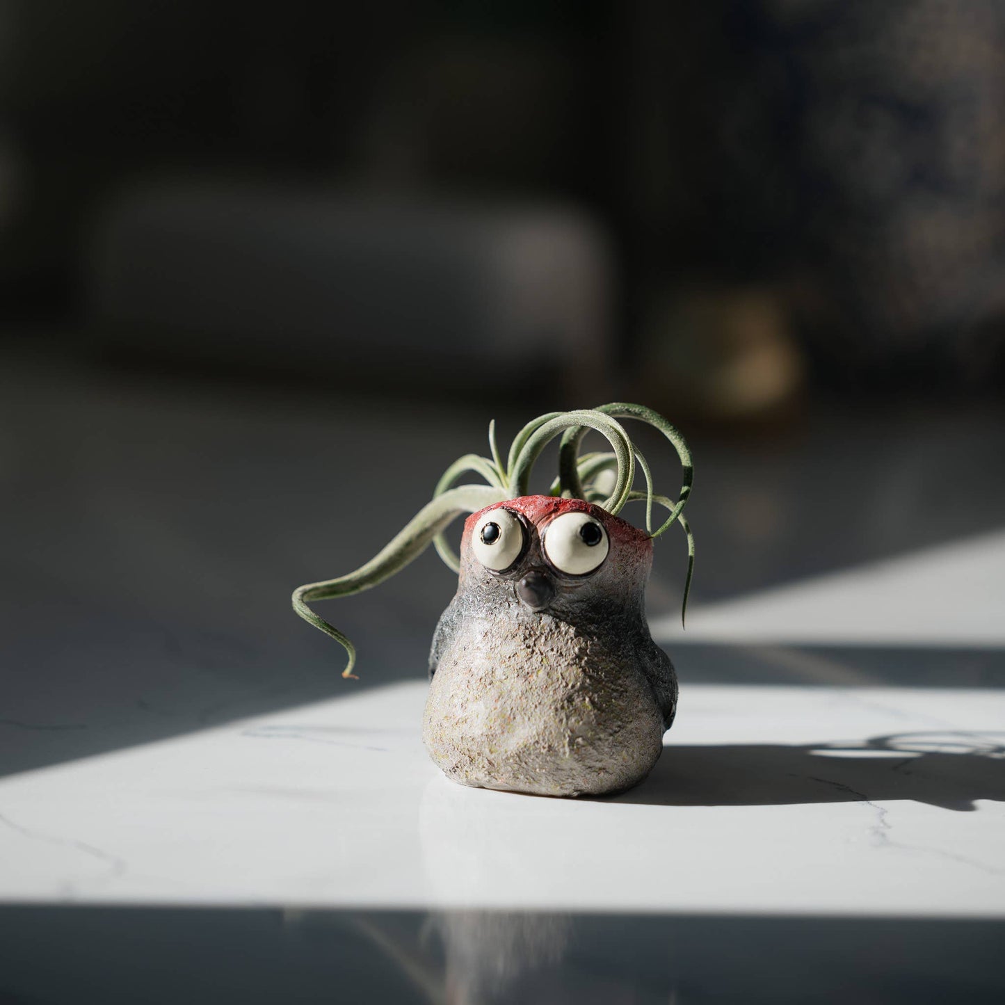 Baby Winnie The Woodpecker Blobhouse® Planter