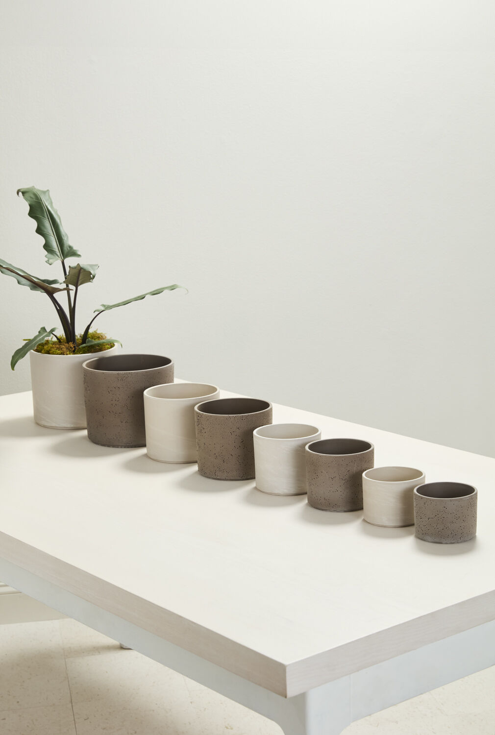 Fulton Pot