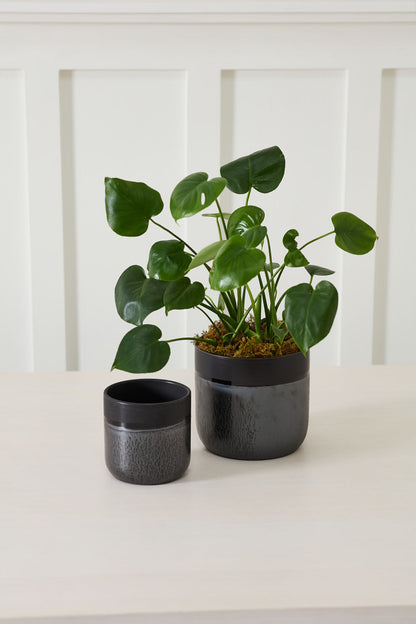 Lennon Pot