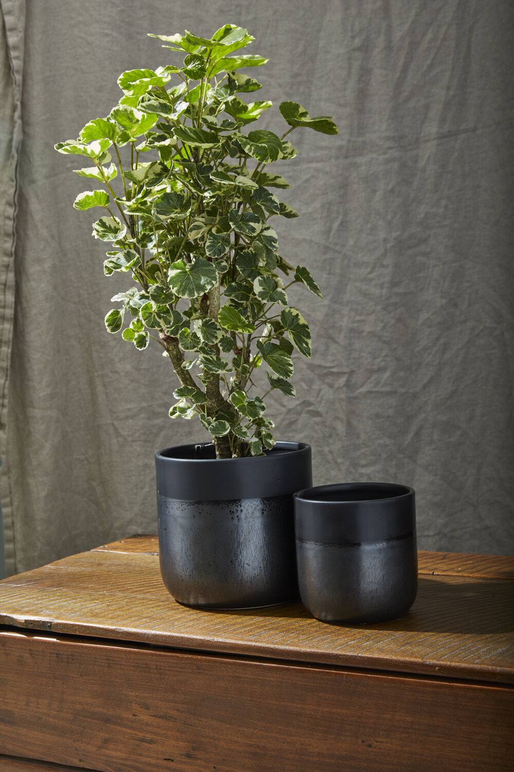 Lennon Pot