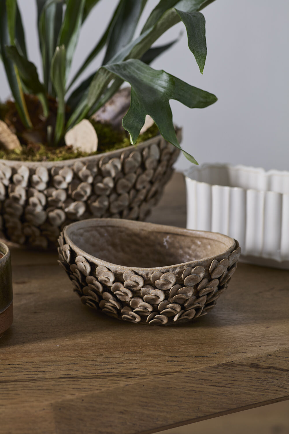 Nalani Bowl