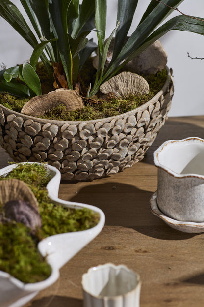 Nalani Bowl