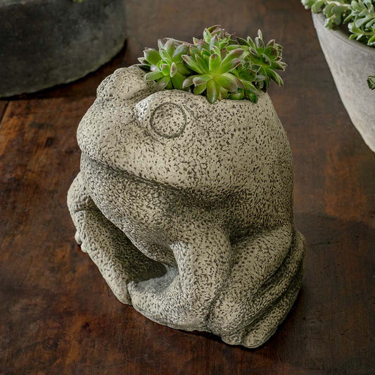 Campania Stone Frog Planter