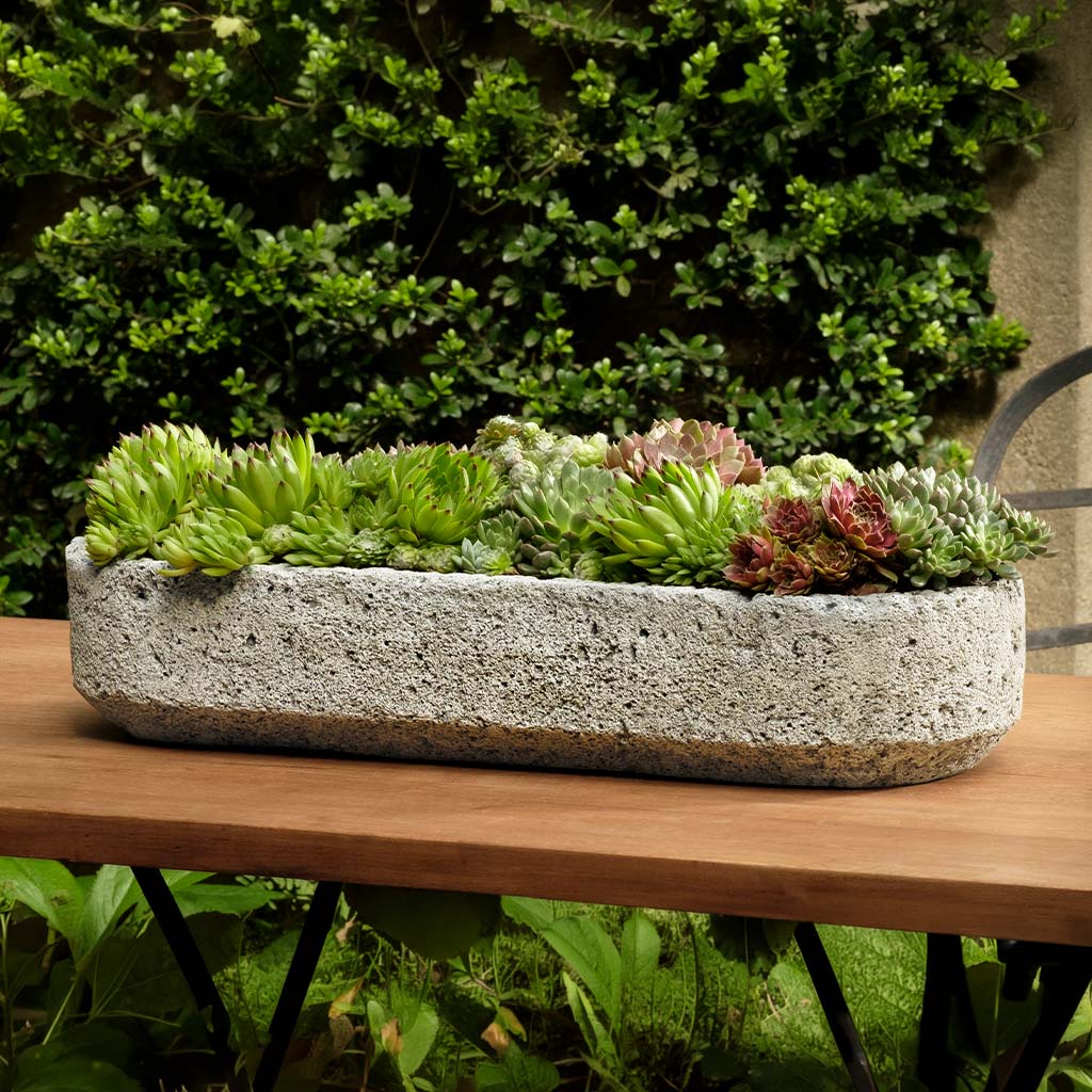 Campania Peniche Planter