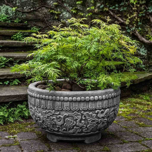 Campania Jaipur Bowl