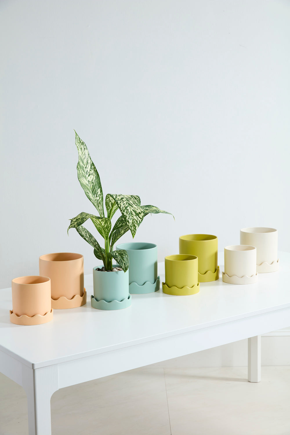 Pissaro Pot With Saucer