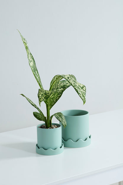 Pissaro Pot With Saucer