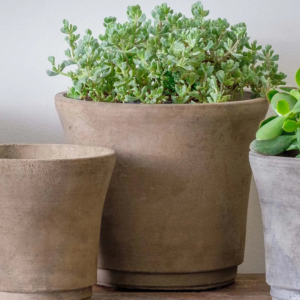 Campania Cloche Planter - Terrace