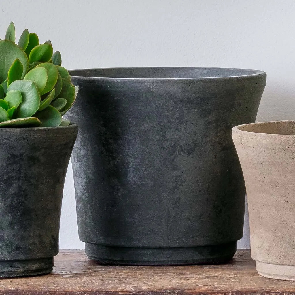 Campania Cloche Planter - Terrace