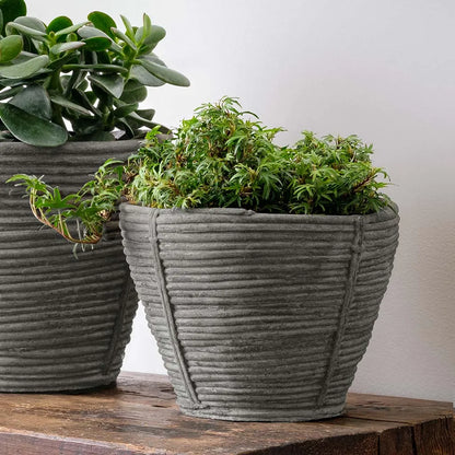 Campania Reed Planter
