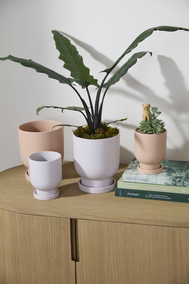 Tarrytown Pot With Saucer